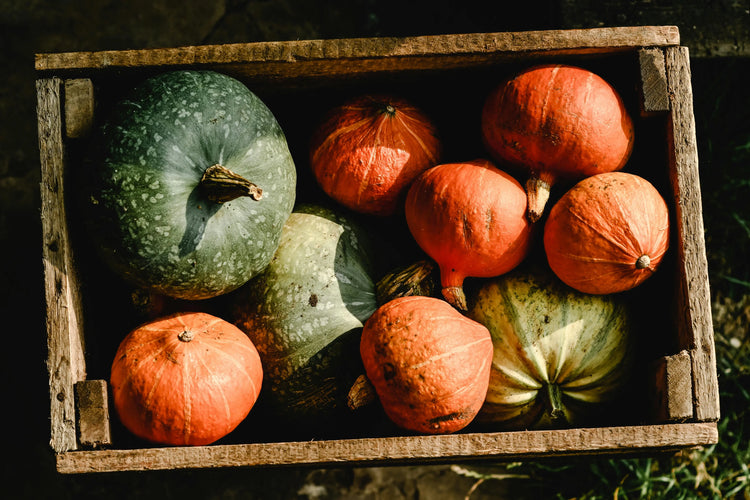 Image of a box of vegetables on Primrose Organic's seasonal boxes page