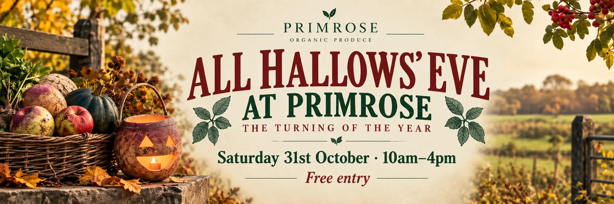 Vintage-style All Hallows’ Eve at Primrose flyer advertising a free community event on Saturday 31 October, 10am–4pm, with farm walks, country games, pumpkin carving, apple pressing, seasonal food and warming drinks at Lymburghs Farm near Marnhull.