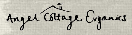 Logo of Angel Cottage Organics on a textured beige background