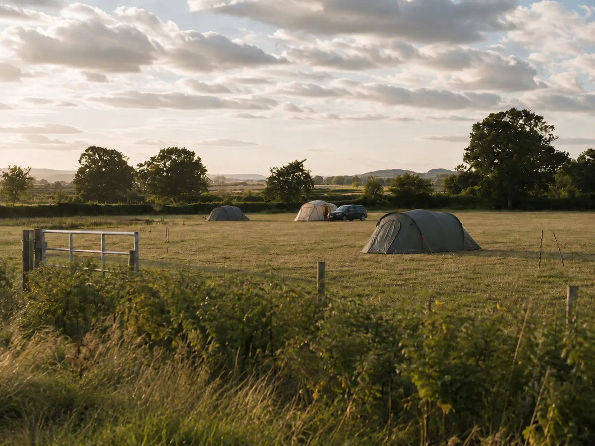 A grassy campsite field at sunset with several dome tents pitched near trees and a gate in the foreground.